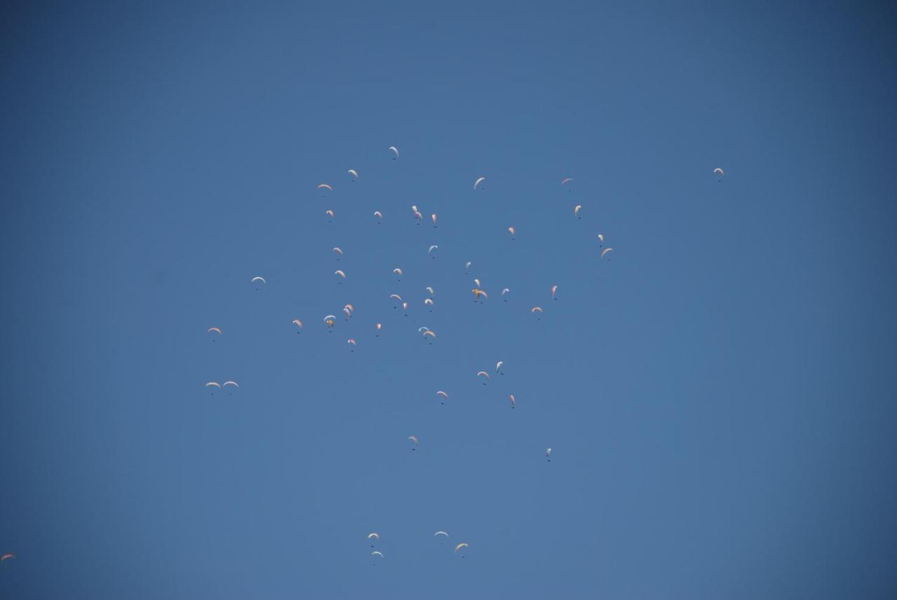 La Quadra De Quelo 1 Daire Ager Dış mekan fotoğraf